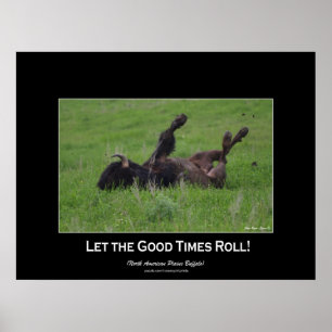 Wild Plains Bufffalo Rolling Wildlife (klein) Poster