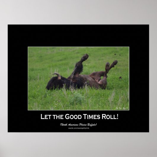 Wild Plains Bufffalo Rolling Wildlife (klein) Poster (Vorne)