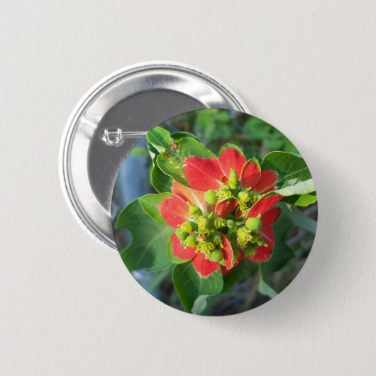 Wild Poinsettia Button (Vorne & Hinten)