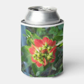 Wild Poinsettia Dosenkühler (Kanne Vorderseite)