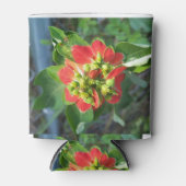 Wild Poinsettia Dosenkühler (Vorderseite)