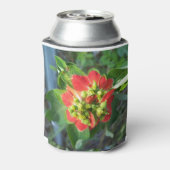 Wild Poinsettia Dosenkühler (Kanne Rückseite)