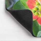 Wild Poinsettia Mousepad (Ecke)