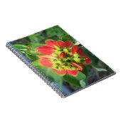 Wild Poinsettia Notizblock (Rechte Seite)