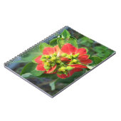 Wild Poinsettia Notizblock (Linke Seite)