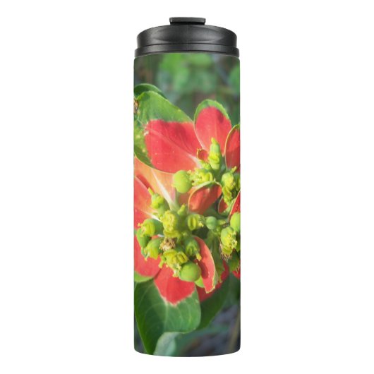 Wild Poinsettia Thermosbecher (Vorderseite)