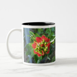 Wild Poinsettia Zweifarbige Tasse