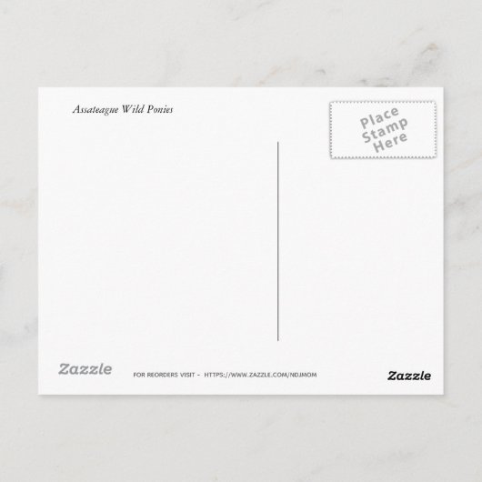 Wild Ponies Assateague - Karten (Rückseite)