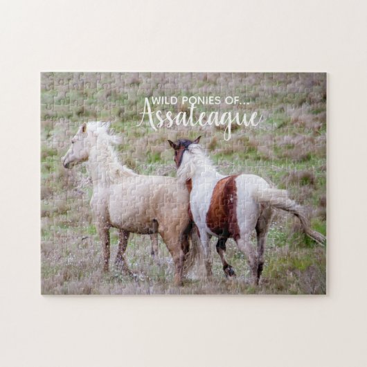 Wild Ponies of Assateague Puzzle (Horizontal)