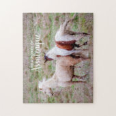 Wild Ponies of Assateague Puzzle (Vertikal)