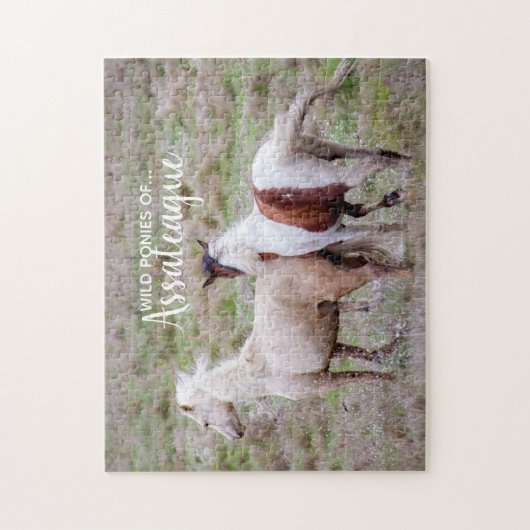 Wild Ponies of Assateague Puzzle (Vertikal)