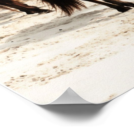 Wild Ponies Poster (Ecke)