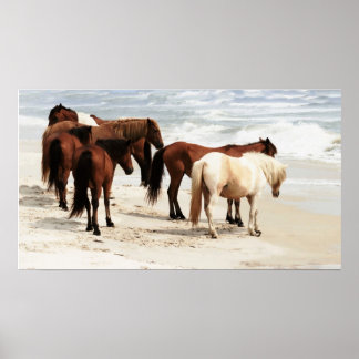 Wild Ponies Poster