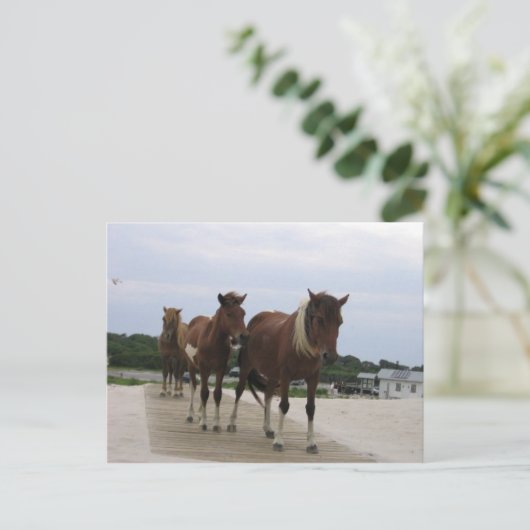 Wild Ponies Postkarte (Stehend Vorderseite)