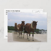 Wild Ponies Postkarte (Vorne/Hinten)