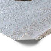 Wild Pony Poster Print (Ecke)