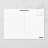 Wild Pony Postkarte (Rückseite)