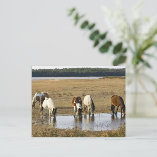 Wild Pony Postkarte (Stehend Vorderseite)