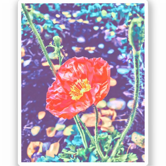 Wild Poppies Vinyl Sticker (Vorderseite)