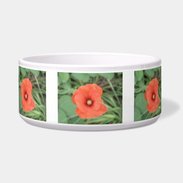 Wild Poppy Blume Dog Bowl Napf (Vorderseite)