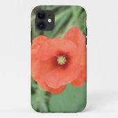 Wild Poppy Blume iPhone Case (Rückseite)