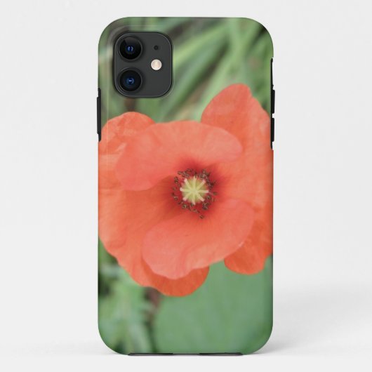 Wild Poppy Blume iPhone Case (Rückseite)