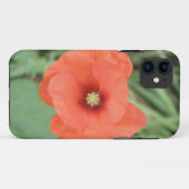 Wild Poppy Blume iPhone Case (Rückseite (Horizontal))