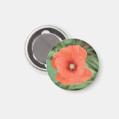 Wild Poppy Blume Magnet (Vorderseite/Rückseite)