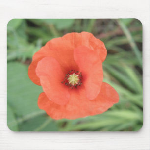 Wild Poppy Blume Mousepad