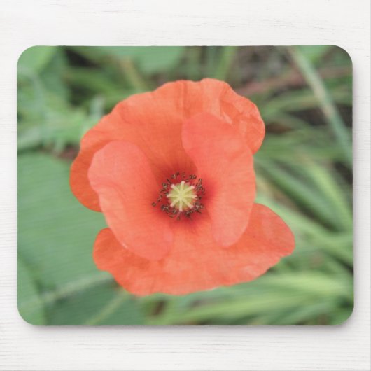 Wild Poppy Blume Mousepad (Vorne)