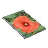 Wild Poppy Blume Notebook Notizblock (Rechte Seite)