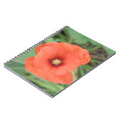 Wild Poppy Blume Notebook Notizblock (Linke Seite)