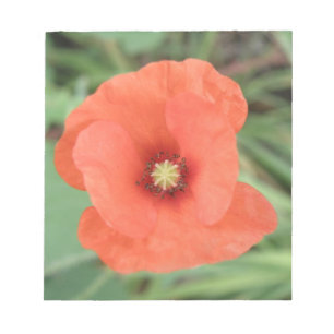 Wild Poppy Blume Notepad Notizblock