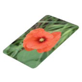 Wild Poppy Blume Premium Magnet (Linke Seite)