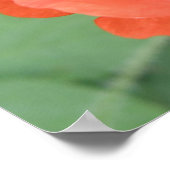 Wild Poppy Blume Print Poster (Ecke)
