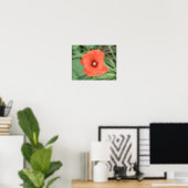 Wild Poppy Blume Print Poster (Heimbüro)