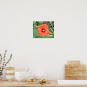 Wild Poppy Blume Print Poster (Küche)