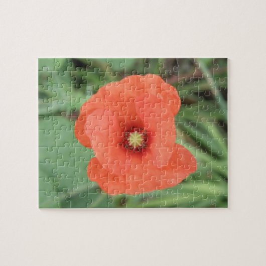 Wild Poppy Blume Puzzle (Horizontal)