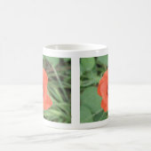 Wild Poppy Blume Tasse (Mittel)