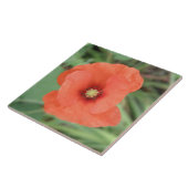 Wild Poppy Blume Tile Fliese (Seite)