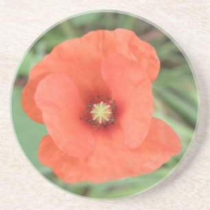 Wild Poppy Blume Untersetzer