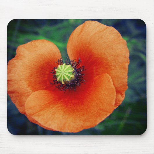 Wild Poppy Macro Fotografy Mousepad (Vorne)