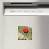 Wild Poppy Magnet (In Situ (Geschirrspüler))