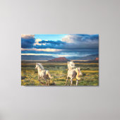 WILD PORSES "Live to Run" Canvas Print Leinwanddruck (Vorderseite)