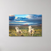 WILD PORSES "Live to Run" Canvas Print Leinwanddruck (Vorderseite)