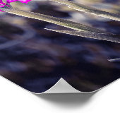 Wild Pyramidal Orchids in Malta Poster (Ecke)