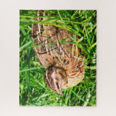 Wild Quail Jigsaw Puzzle (Vertikal)