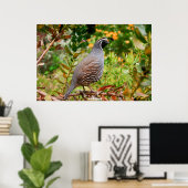 Wild Quail Poster (Heimbüro)