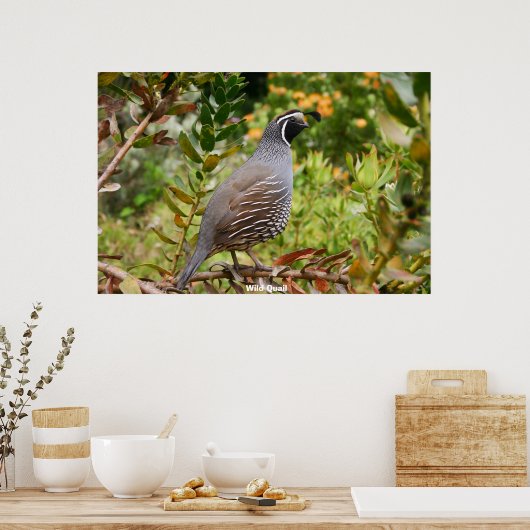 Wild Quail Poster (Küche)