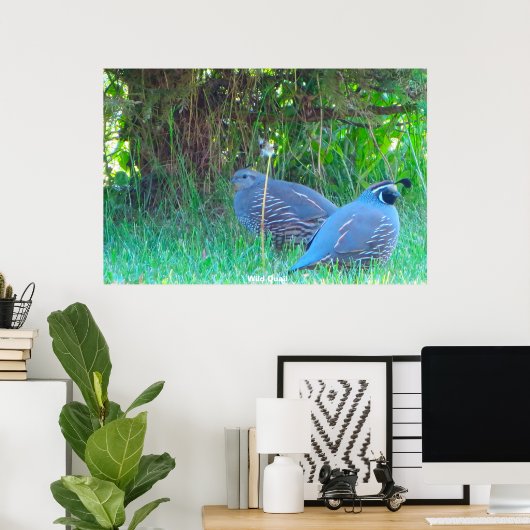 Wild Quail Poster (Heimbüro)